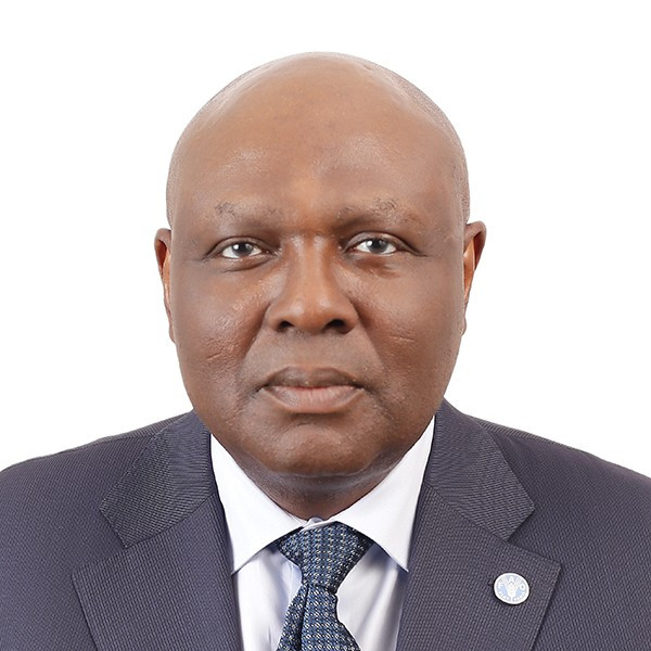 Prof. Jerome Theo Afeikhena